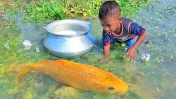 The Giant Golden Fish and the Curious Boy by the Pond