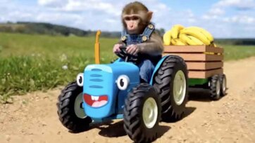 The Little Monkey and the Singing Tractor’s Banana Quest
