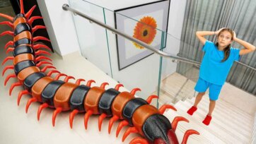 Remote Control Toy Centipede Adventure for Kids - Fun Indoor Playtime