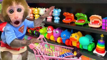 Cute Monkey Plays with Toy Store Animals and Fun Colorful Surprises
