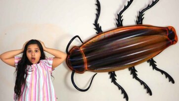 Kids Play with Remote Control Cockroach Toy Fun Crawling Bug Adventure